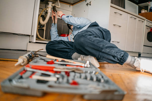 Best Local Plumber Services  in Nixa, MO